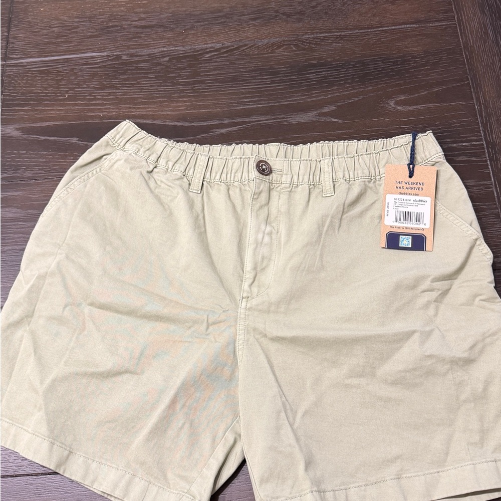 Chubbies Light Green Shorts